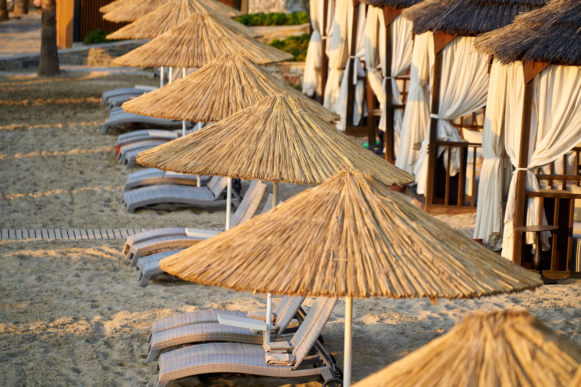 Vzpon trajnostnega turizma: kako okolju prijazni hoteli spreminjajo potovalno industrijo